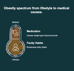 Obesity as a lifestyle indicator in chronic disease prevention